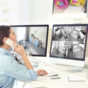 Wiguard fingerprint access system for secure entry
